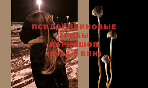 ECSTASY Арсеньев