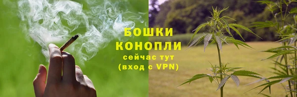 трава Аркадак
