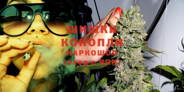 трава Аркадак