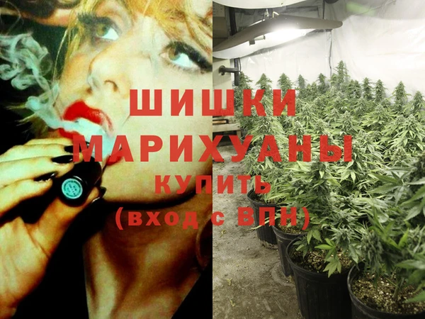 трава Аркадак