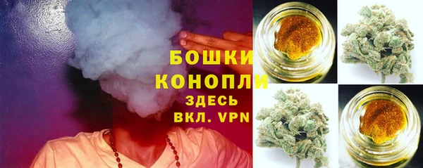 трава Аркадак
