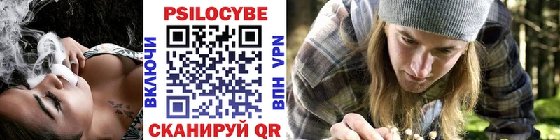 blacksprut tor  Багратионовск  Галлюциногенные грибы Psilocybine cubensis 